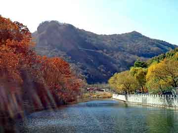 新澳门免费精准大全，松香甘油酯